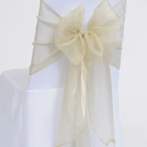 Accent Champagne Organza Angled