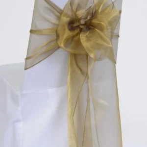 Accent Bronze Organza