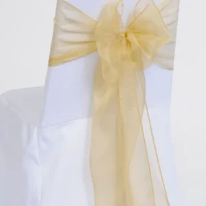 Accent Gold Organza