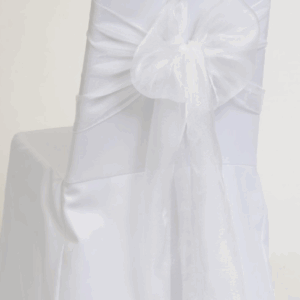 Accent White Organza
