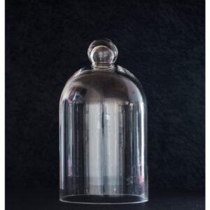 Glass Centrepiece Dome